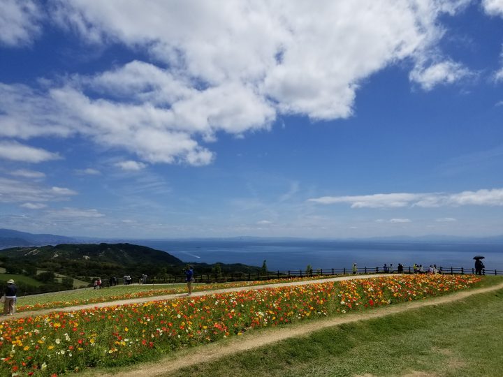 村井工業所ブログ Blog Archive 景色と花と自然に癒されてきました